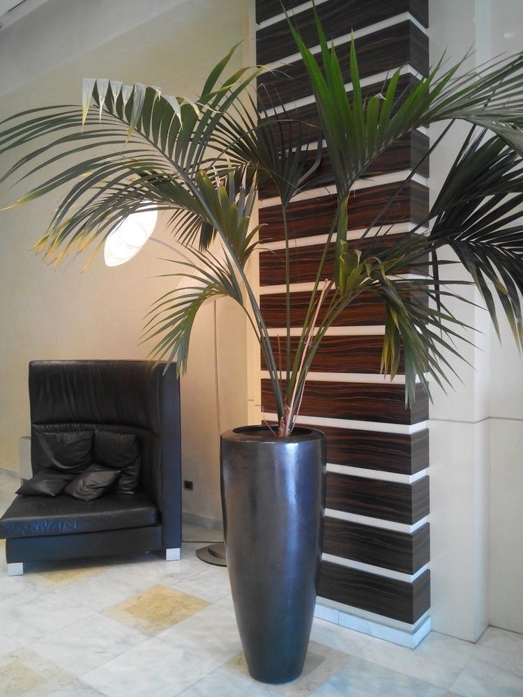 Papillo Hotels & Resorts Roma Dış mekan fotoğraf